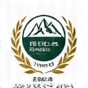 Logo Swiss Tourism Excellence Award